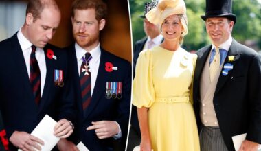 Prince Harry, William set for family reunion at cousin's wedding: report