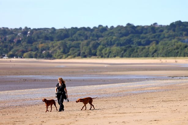 Photo shows woman walking dogs on Swansea Beach