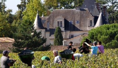 France's vineyards begin 2025 harvest early after hot temperatures