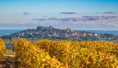 France is the world's most visited country. So why hasn't it turned on tourism?
