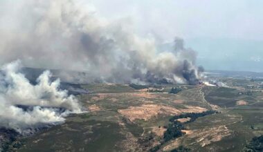 Death toll rises as wildfires continue to burn across southern Europe
