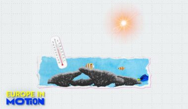 European seas break temperature records: Are they too warm?