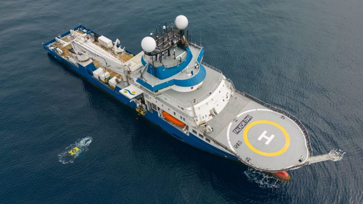 Viral livestream of Argentina’s deep-sea creatures stirs pride and protest over science cuts