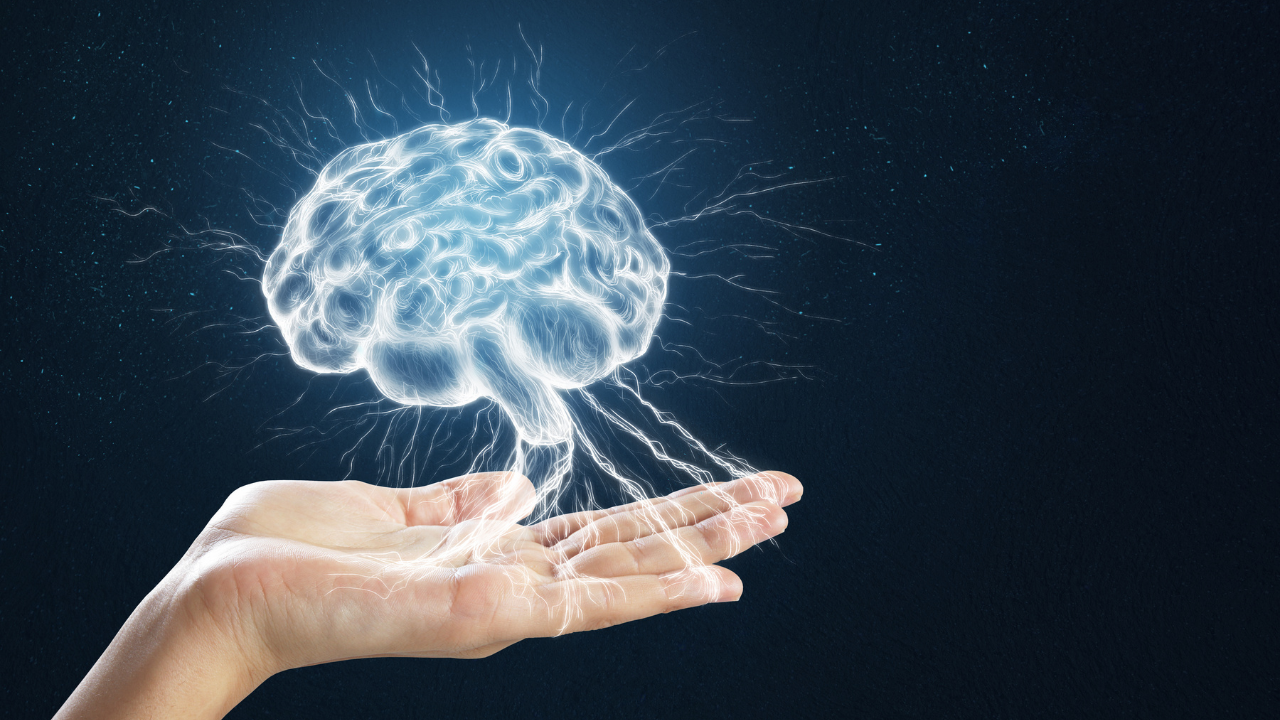 ​From rosemary water to chewing gum: 5 surprising ways to sharpen brain and boost memory​ - The Times of India