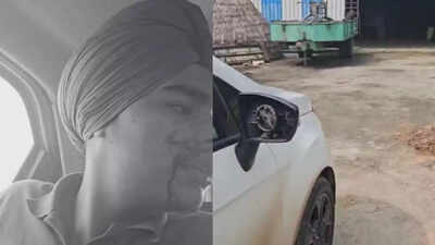 Madhya Pradesh shocker: London-based doctor, family attacked in Bhind; constable removed from post for instigating assault