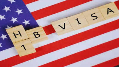 'If you are trying to brain-drain Bangalore...': US economist's H-1B explanation goes viral