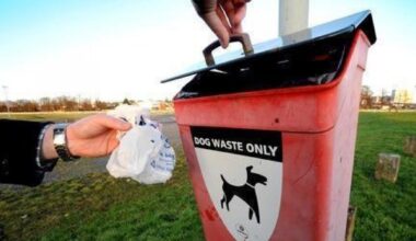 Man fined for not picking up dog poo in Stoke Gifford