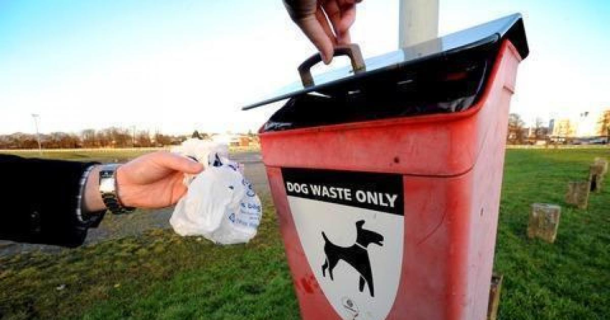 Man fined for not picking up dog poo in Stoke Gifford