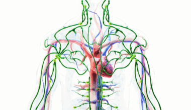 How stress can tighten and disrupt the lymphatic system: 4 key ways
