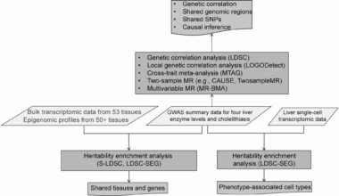 Investigating the shared genetic information between serum concentration levels of liver enzymes and cholelithiasis | BMC Gastroenterology