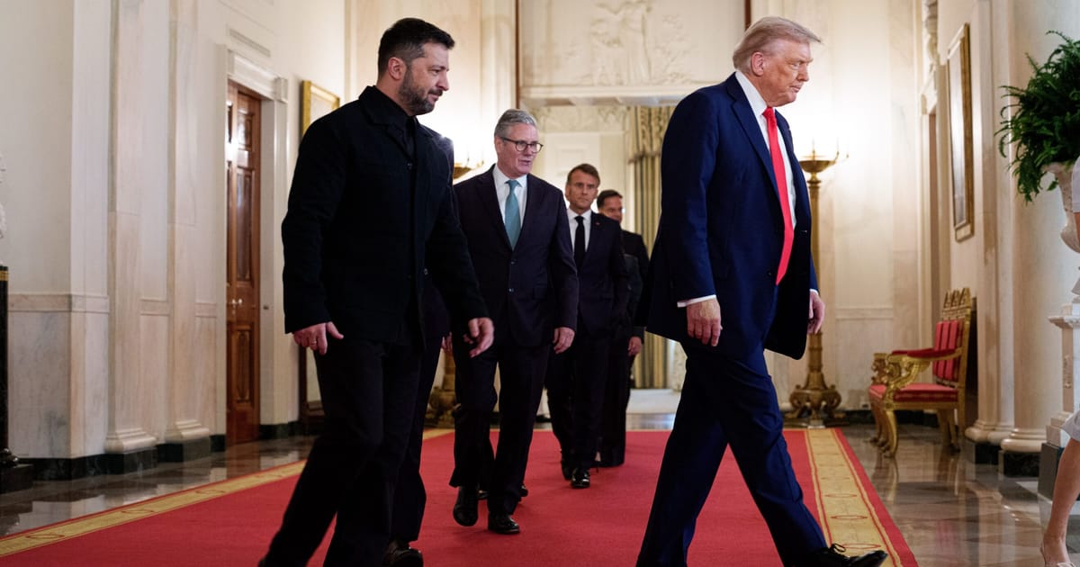 5 oddest moments from European leaders’ trip to see Trump – POLITICO