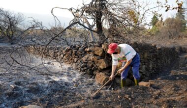 EU wildfires hit new record as flames scorch area larger than Cyprus – POLITICO