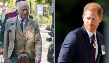 Buckingham Palace issues statement after Prince Harry's secret letter