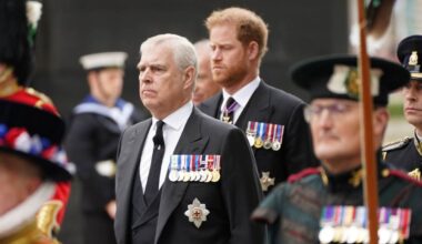 Prince Harry, Prince Andrew royal titles future 'uncertain'
