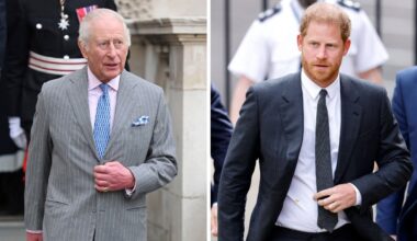 King Charles office issues positive update after Prince Harry Palace snub