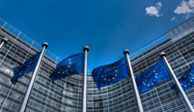 The European Petitions System:  A Bolster for the Rule of Law, or False Hope for Citizens? – MIR