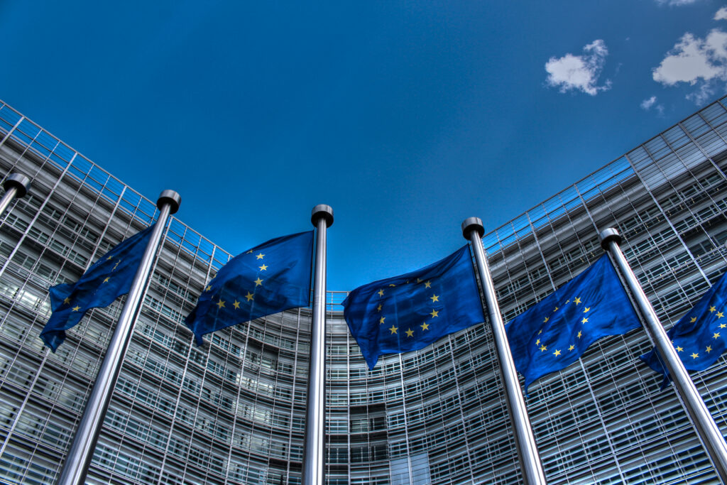 The European Petitions System:  A Bolster for the Rule of Law, or False Hope for Citizens? – MIR
