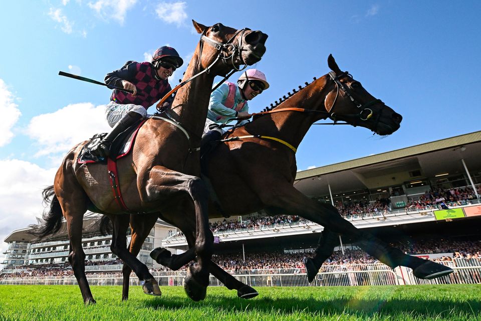 Ndaawi, left, with Jack Kennedy up, crosses the line in the Guinness Galway Hurdle beside Helvic Dream and Donagh Meyler with Ndaawi getting the verdict following a stewards' enquiry. Photo by Seb Daly/Sportsfile