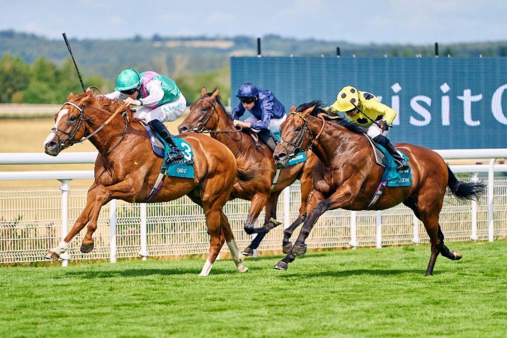 150-1 long shot wins key horse race in England, heads to Breeders' Cup