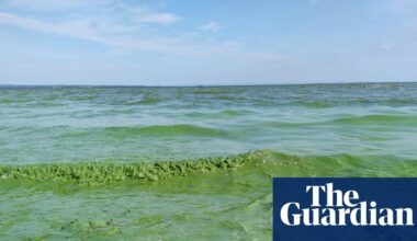 UK’s largest lake faces environmental crisis as rescue plans stall | Pollution