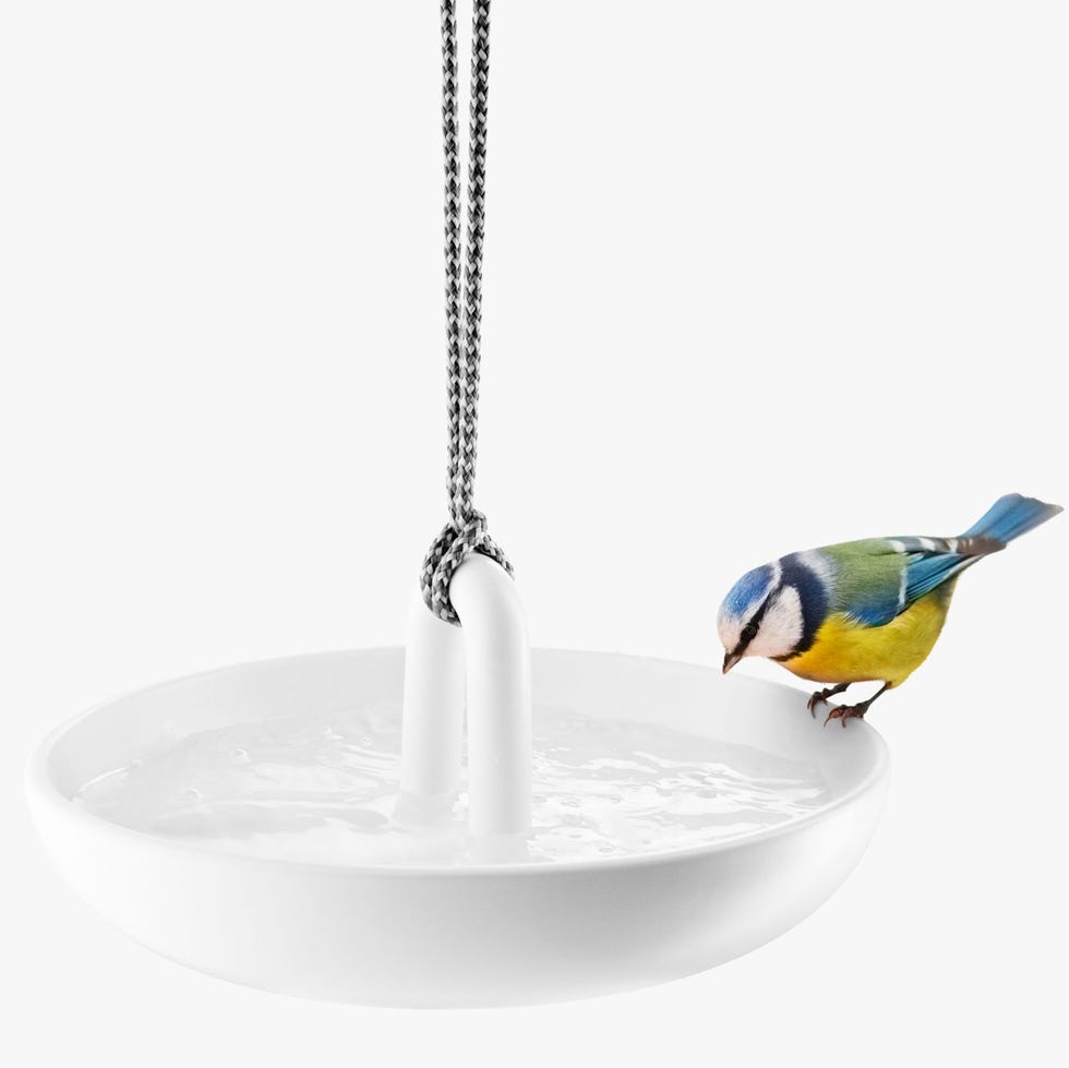 Eva Solo Hanging Bird Bath