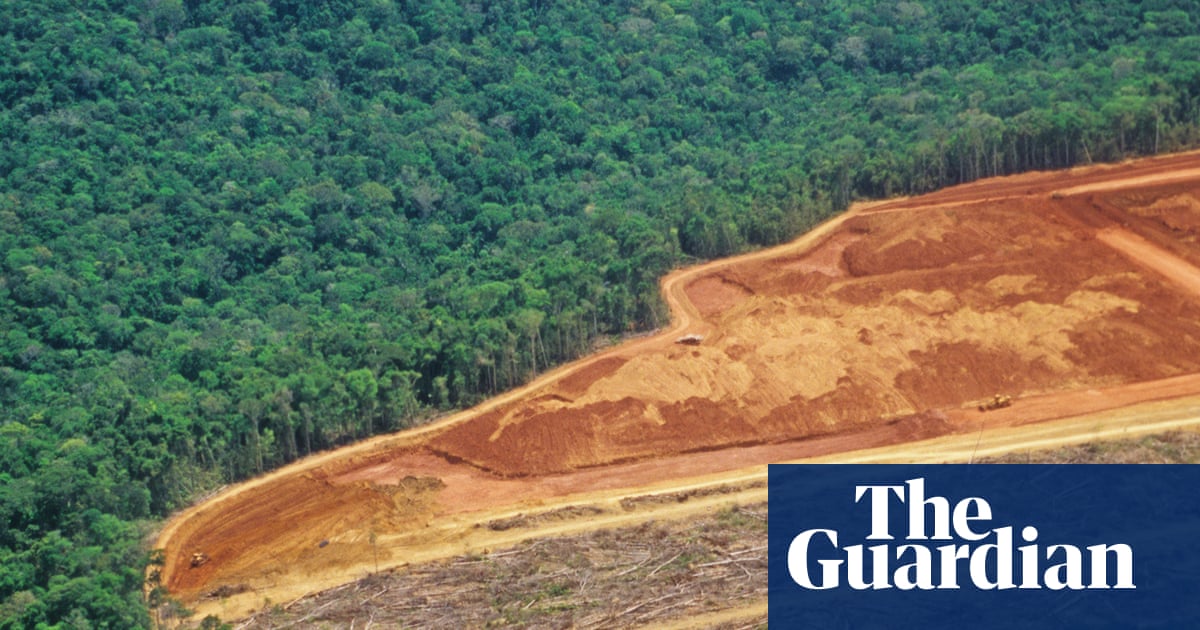 Deforestation has killed half a million people in past 20 years, study finds | Deforestation