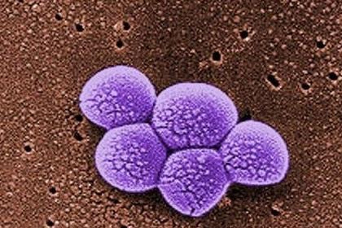 ‘Avoid sharing towels and razors’ amid rise in people contracting MRSA superbug, Britons told