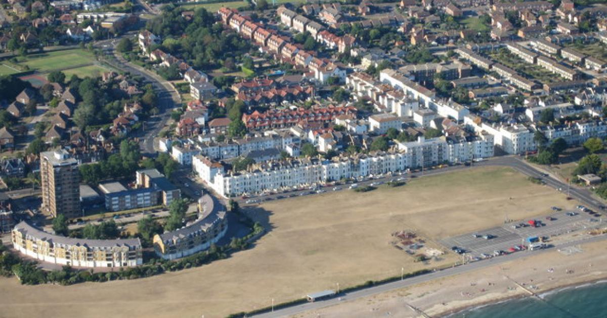 Venomous fish with 'nasty sting' washes up on Sussex beach