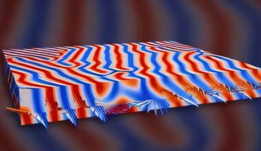 Researchers observe nematic order in magnetic helices, echoing liquid crystal behavior