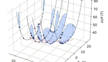 Theoretical physicist helps map rare high-field phase