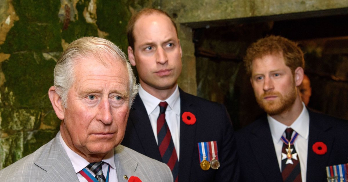 Prince Harry and Prince William Feud: A 'Different Beast' Explained