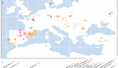 The genomic history of Iberian horses since the last Ice Age