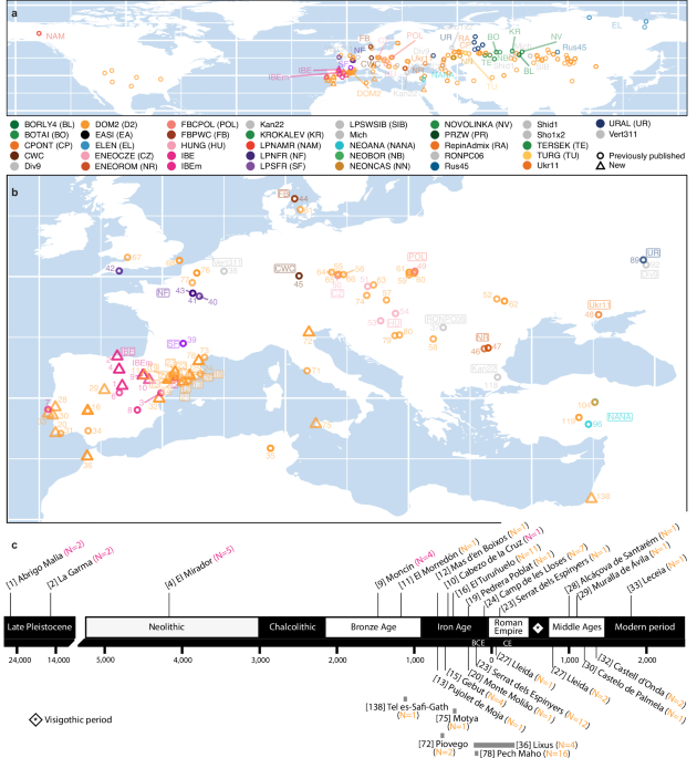 The genomic history of Iberian horses since the last Ice Age