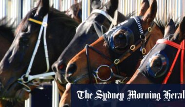 Promising mare primed to make immediate imprint at Wagga