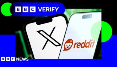 An image showing the X and Reddit logos. They are imposed over the BBC Verify colours and logo.