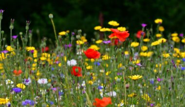 One of the Best ‘Secret’ Gardens in Europe is in London