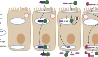 New pill technology could replace injections for protein-based medications