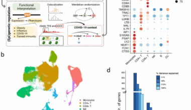 Unveiling genetic signatures of immune response in immune-related diseases through single-cell eQTL analysis across diverse conditions