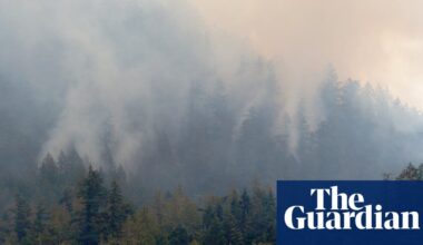 Canada wildfires: 81 million Americans under air quality alerts as blazes rage | Canada wildfires