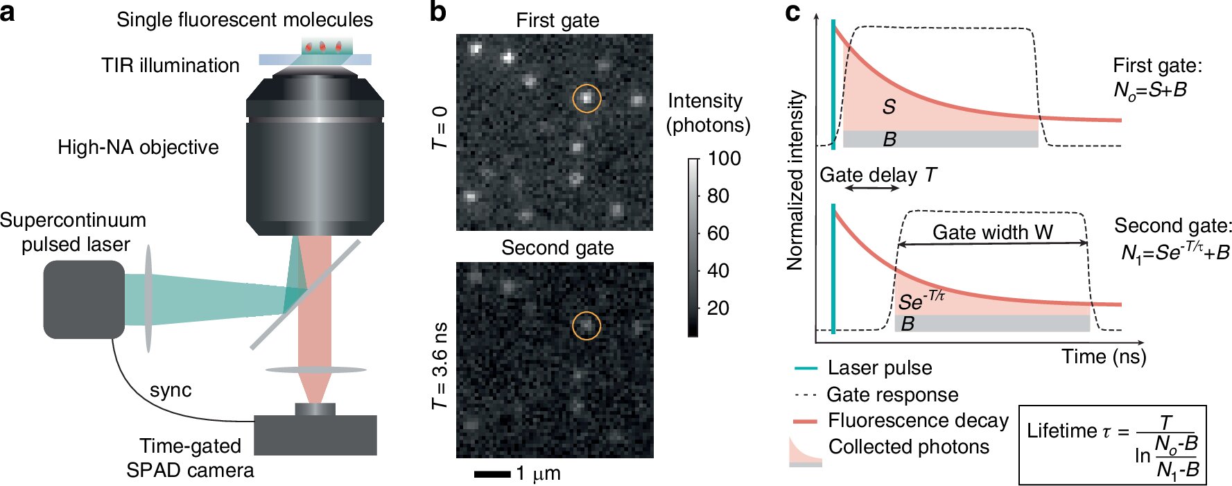 Ultrafast imaging method characterizes thousands of molecules using single-photon camera
