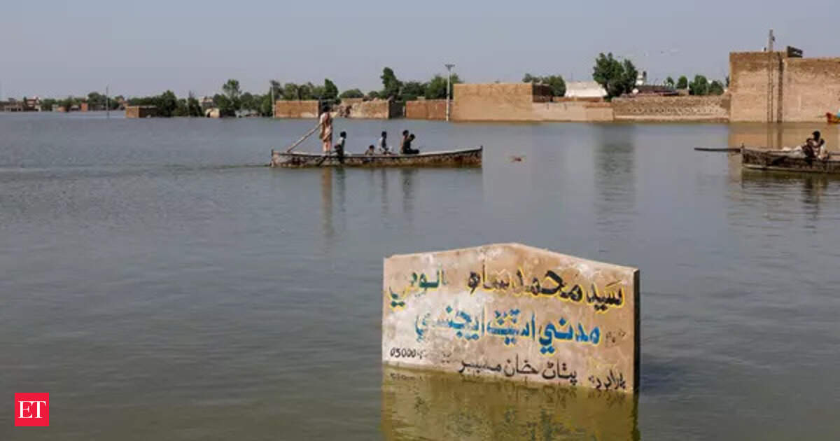 Death of a delta: Pakistan's Indus sinks and shrinks