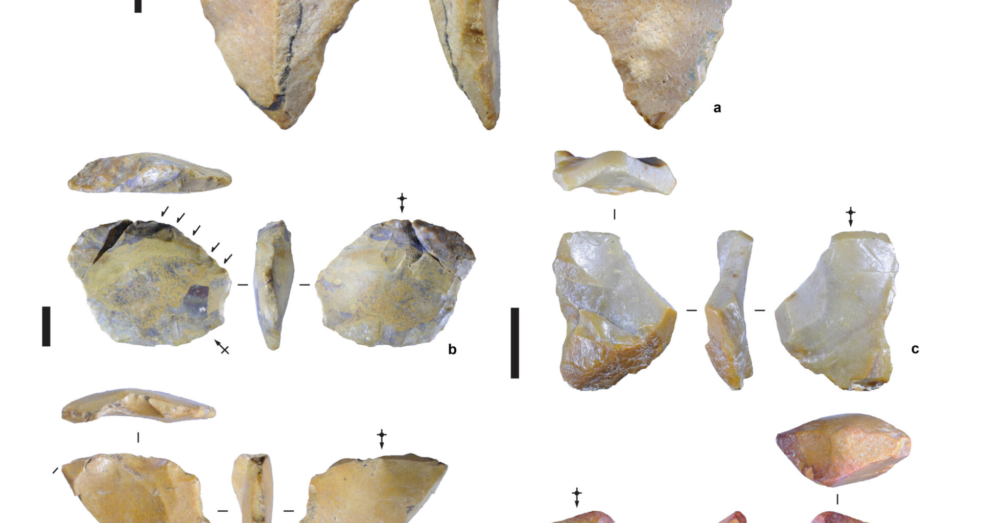 Archaeologists find oldest evidence of humans on 'Hobbit's' island neighbor—who they were remains a mystery