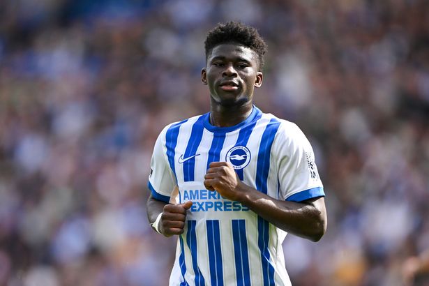 Carlos Baleba in action for Brighton & Hove Albion.
