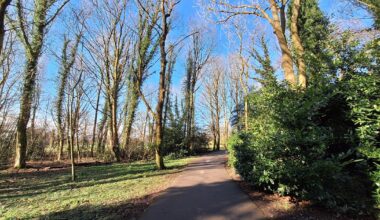Graves Park summer food and drink festival given the go ahead