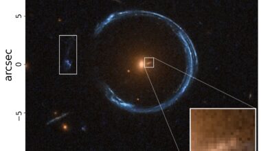 Cosmic Horseshoe galaxy harbors what may be the most massive black hole ever detected