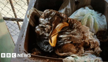 Bristol flats' food waste 'not collected for four months'