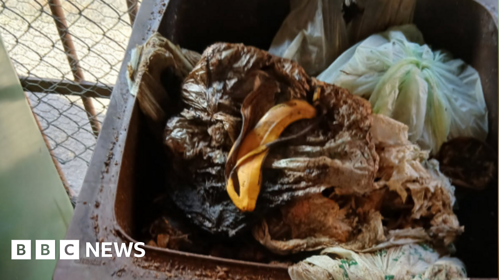 Bristol flats' food waste 'not collected for four months'