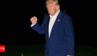 Trump tariffs: 17% effective rate, $50bn monthly customs revenue