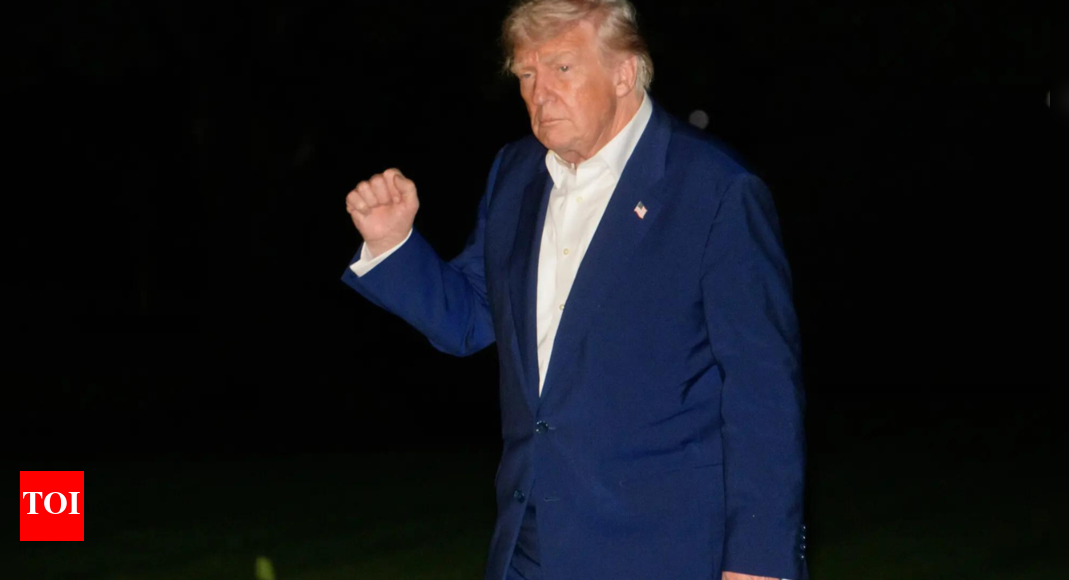 Trump tariffs: 17% effective rate, $50bn monthly customs revenue
