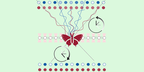 Quantum Scrambling Goes Anomalous